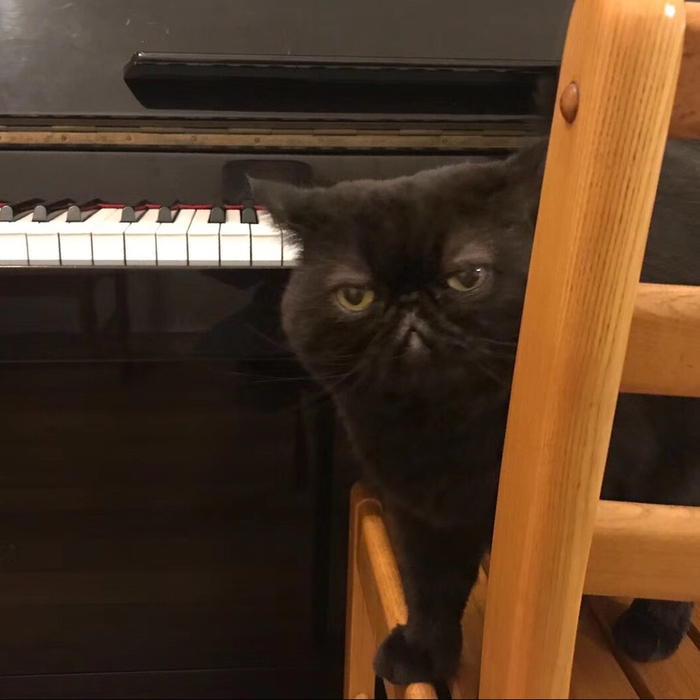 Meet your Posher, Myra